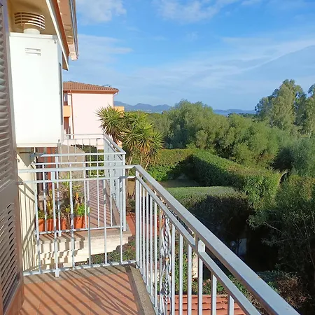 Abete Bianco Murta Maria