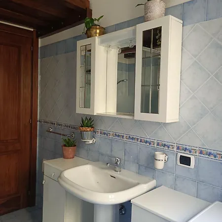 Abete Bianco * מורתה מריה